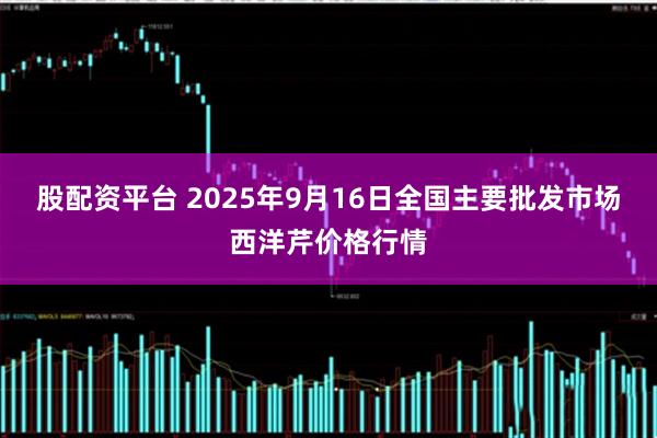 股配资平台 2025年9月16日全国主要批发市场西洋芹价格行情