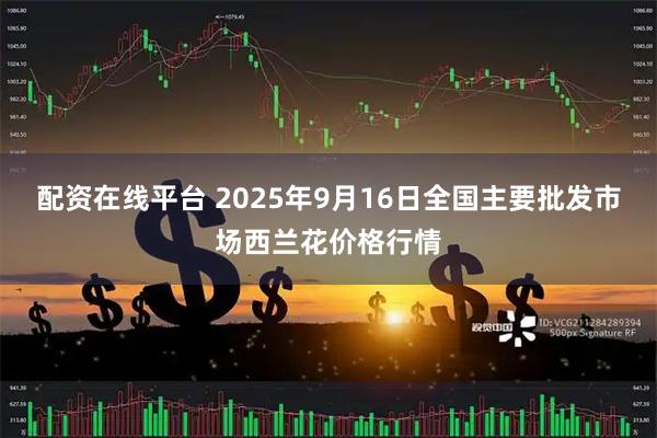 配资在线平台 2025年9月16日全国主要批发市场西兰花价格行情