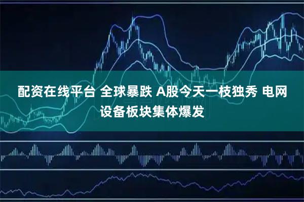 配资在线平台 全球暴跌 A股今天一枝独秀 电网设备板块集体爆发